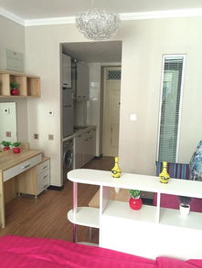 精品公寓出租 拎包即住